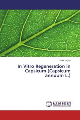 Hegde | In Vitro Regeneration in Capsicum (Capsicum annuum L.) | Buch | 978-3-330-32079-6 | sack.de