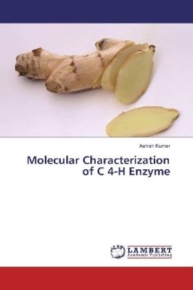Kumar |  Molecular Characterization of C 4-H Enzyme | Buch |  Sack Fachmedien