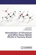 Kumar / Agarwal / Singh |  Remediation of Chromium and Other Heavy Metals (Pb,Ni) in Tannery Waste | Buch |  Sack Fachmedien