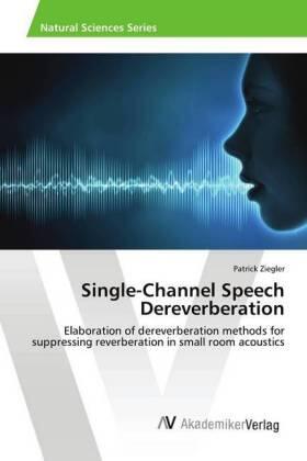 Ziegler |  Single-Channel Speech Dereverberation | Buch |  Sack Fachmedien