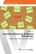 Sauer |  Incentive Effects on Different Sub-groups | Buch |  Sack Fachmedien
