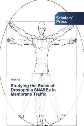 Xu |  Studying the Roles of Drosophila SNAREs in Membrane Traffic | Buch |  Sack Fachmedien