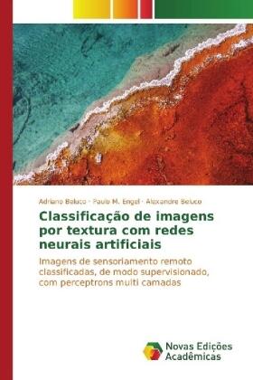 Beluco / Engel |  Classificação de imagens por textura com redes neurais artificiais | Buch |  Sack Fachmedien