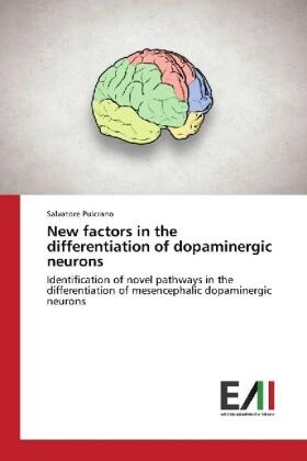 Pulcrano | New factors in the differentiation of dopaminergic neurons | Buch | 978-3-330-77924-2 | sack.de