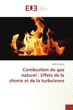 Ennetta |  Combustion du gaz naturel : Effets de la chimie et de la turbulence | Buch |  Sack Fachmedien