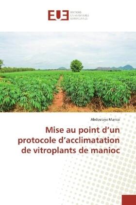 Marico | Mise au point d¿un protocole d¿acclimatation de vitroplants de manioc | Buch | 978-3-330-87418-3 | sack.de