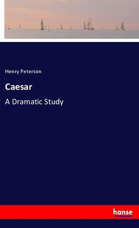 Peterson |  Caesar | Buch |  Sack Fachmedien