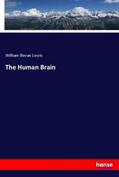 Lewis |  The Human Brain | Buch |  Sack Fachmedien