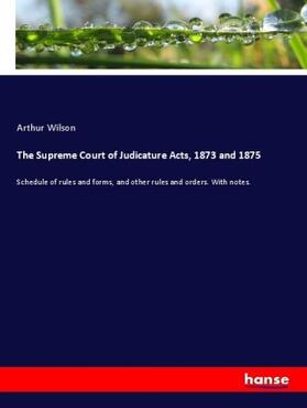 Wilson |  The Supreme Court of Judicature Acts, 1873 and 1875 | Buch |  Sack Fachmedien