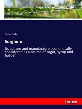 Collier |  Sorghum | Buch |  Sack Fachmedien