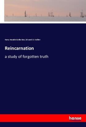 Houdini Collection / Walker |  Reincarnation | Buch |  Sack Fachmedien