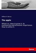 Barnes |  The apple | Buch |  Sack Fachmedien