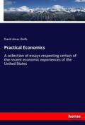 Wells |  Practical Economics | Buch |  Sack Fachmedien