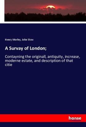 Morley / Stow |  A Survay of London; | Buch |  Sack Fachmedien