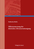Ruikis |  Effizienzmessung der deutschen Abwasserentsorgung | Buch |  Sack Fachmedien