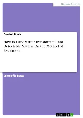 Stark |  How Is Dark Matter Transformed Into Detectable Matter? On the Method of Excitation | eBook | Sack Fachmedien