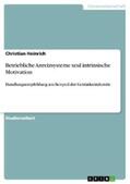 Heinrich |  Betriebliche Anreizsysteme und intrinsische Motivation | eBook | Sack Fachmedien
