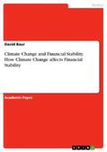 Baur |  Climate Change and Financial Stability. How Climate Change affects Financial Stability | eBook | Sack Fachmedien