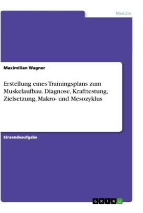 Wagner |  Erstellung eines Trainingsplans zum Muskelaufbau. Diagnose, Krafttestung, Zielsetzung, Makro- und Mesozyklus | Buch |  Sack Fachmedien