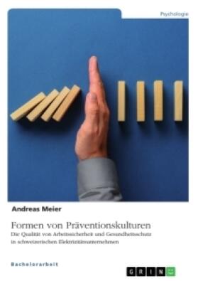 Meier |  Formen von Präventionskulturen. Die Qualität von Arbeitssicherheit und Gesundheitsschutz in schweizerischen Elektrizitätsunternehmen | Buch |  Sack Fachmedien