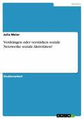 Meier |  Verdrängen oder verstärken soziale Netzwerke soziale Aktivitäten? | eBook | Sack Fachmedien