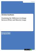 Kaufmann |  Examining the Differences in Image Between White and Minority Gangs | eBook | Sack Fachmedien