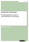 Schön / Renger |  Berufspädagogische Ansätze in mittelständischen Unternehmen | eBook | Sack Fachmedien