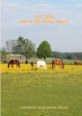 Peter / Meyer / Baller |  Wie kommt das Pony auf den Gnadenbrothof? | Buch |  Sack Fachmedien