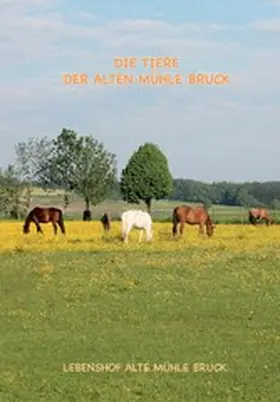Peter / Meyer / Baller |  Wie kommt das Pony auf den Gnadenbrothof? | eBook | Sack Fachmedien