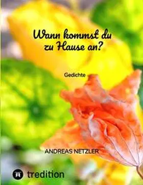 Netzler |  Wann kommst du zu Hause an? | Buch |  Sack Fachmedien