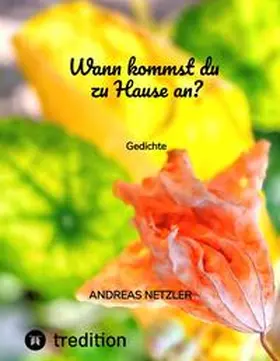 Netzler |  Wann kommst du zu Hause an? | Buch |  Sack Fachmedien