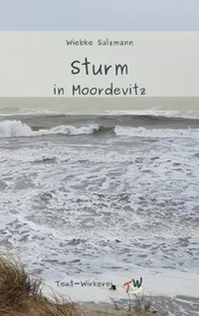 Salzmann |  Sturm in Moordevitz | Buch |  Sack Fachmedien