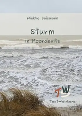 Salzmann |  Sturm in Moordevitz | eBook | Sack Fachmedien