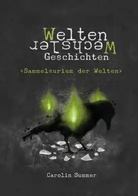 Summer |  Sammelsurium der Welten | Buch |  Sack Fachmedien