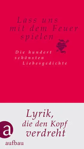Lehmkuhl |  Lass uns mit dem Feuer spielen | Buch |  Sack Fachmedien