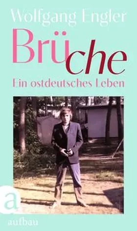 Engler |  Brüche | Buch |  Sack Fachmedien
