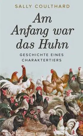 Coulthard | Am Anfang war das Huhn. Geschichte eines Charaktertiers | Buch | 978-3-365-00486-9 | www.sack.de
