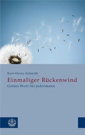Schmidt |  Einmaliger Rückenwind | Buch |  Sack Fachmedien