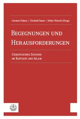 Polanz / Sauer / Wenzel |  Begegnungen und Herausforderungen | Buch |  Sack Fachmedien