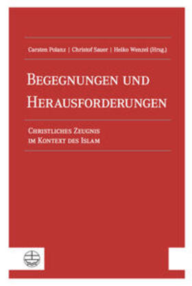 Polanz / Sauer / Wenzel | Begegnungen und Herausforderungen | Buch | 978-3-374-05879-2 | sack.de