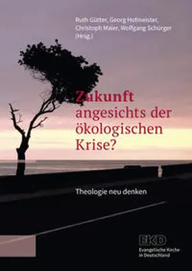 Gütter / Hofmeister / Maier | Zukunft angesichts der ökologischen Krise? | Buch | 978-3-374-07048-0 | sack.de