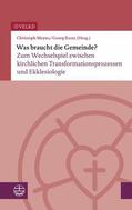 Vereinigte Evangelisch-Lutherische Kirche Deutschlands (VELKD) / Meyns / Raatz |  Was braucht die Gemeinde? | eBook | Sack Fachmedien