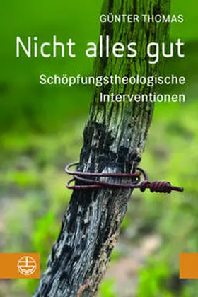 Thomas | Nicht alles gut | Buch | 978-3-374-07573-7 | sack.de