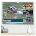 und Yvonne Herzog |  Riesenotter - Flusswölfe im Pantanal (hochwertiger Premium Wandkalender 2024 DIN A2 quer), Kunstdruck in Hochglanz | Sonstiges |  Sack Fachmedien