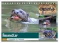 und Yvonne Herzog |  Riesenotter - Flusswölfe im Pantanal (Tischkalender 2024 DIN A5 quer), CALVENDO Monatskalender | Sonstiges |  Sack Fachmedien
