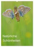 Blum |  Insekten,Schönheiten der Natur (Wandkalender 2024 DIN A2 hoch), CALVENDO Monatskalender | Sonstiges |  Sack Fachmedien