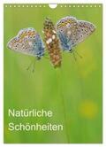 Blum |  Insekten,Schönheiten der Natur (Wandkalender 2024 DIN A4 hoch), CALVENDO Monatskalender | Sonstiges |  Sack Fachmedien
