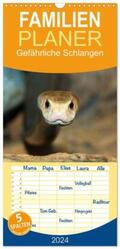 Herzog |  Familienplaner 2024 - Gefährliche Schlangen mit 5 Spalten (Wandkalender, 21 x 45 cm) CALVENDO | Sonstiges |  Sack Fachmedien