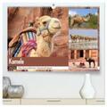 Herzog |  Kamele - Die freundlichen Gepäckträger (hochwertiger Premium Wandkalender 2024 DIN A2 quer), Kunstdruck in Hochglanz | Sonstiges |  Sack Fachmedien