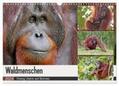 Herzog |  Waldmenschen - Orang Utans auf Borneo (Wandkalender 2024 DIN A3 quer), CALVENDO Monatskalender | Sonstiges |  Sack Fachmedien